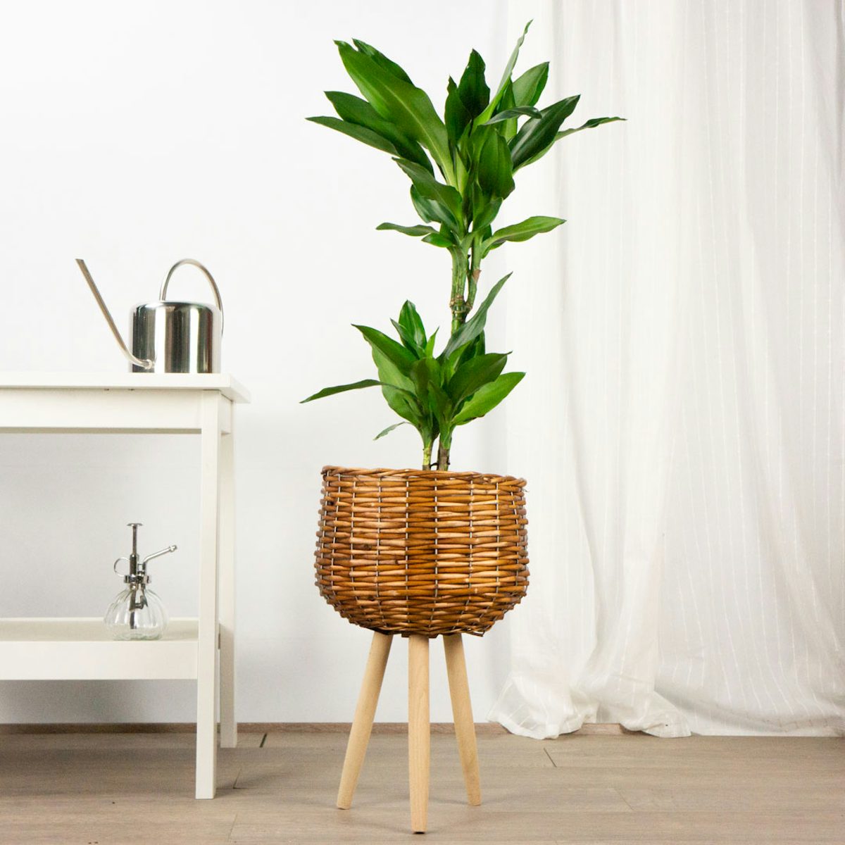 Tulum Planter - XL/22cm