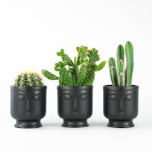 Trio Nairobi Flowerpots