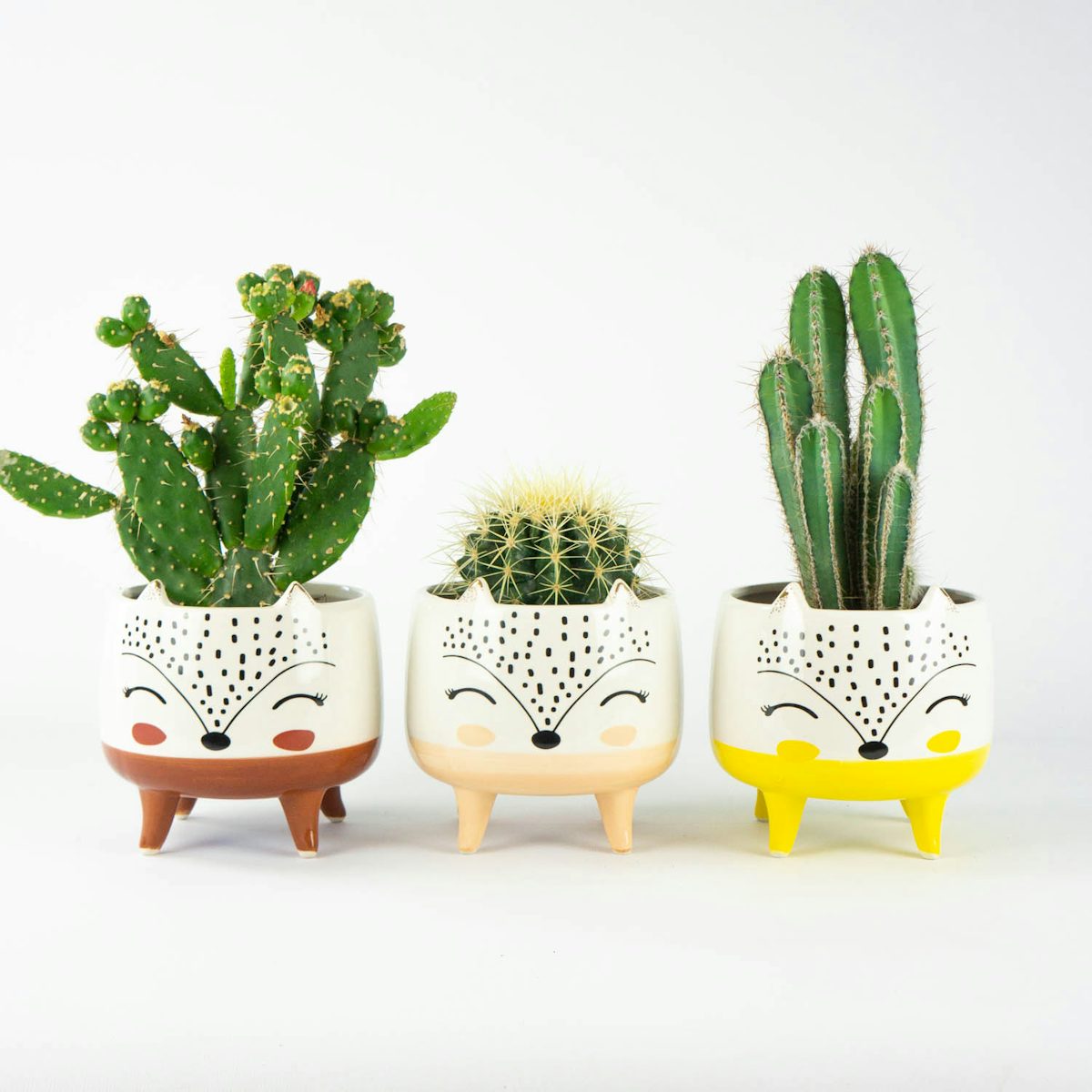 Trio of Fauna planters - S/12cm