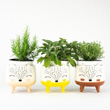 Trio of Fauna planters - S/12cm