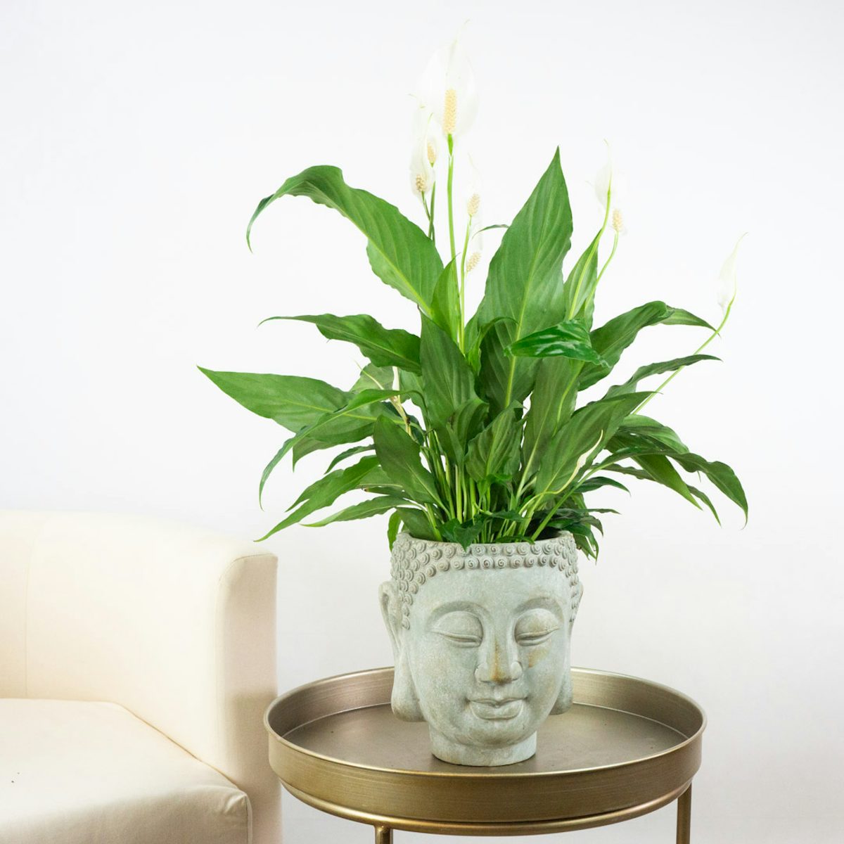 Buddha Flowerpot - M/14cm