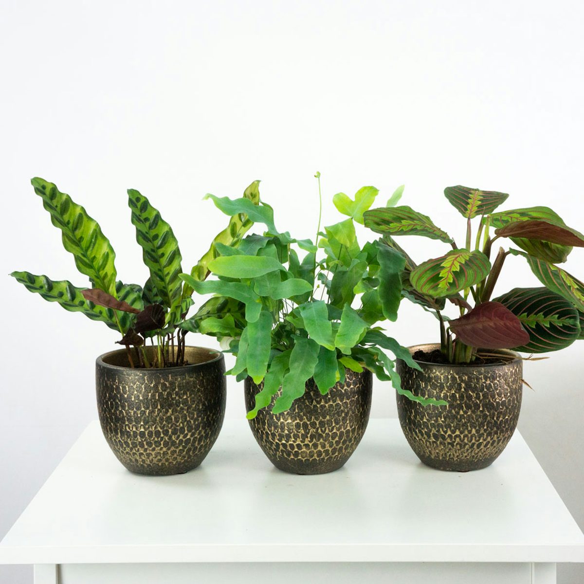 Trio Flowerpots Morocco - S / 12cm