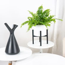 Miami Planter with Stand S