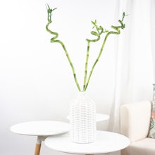 Set Bambou porte-bonheur style nordique