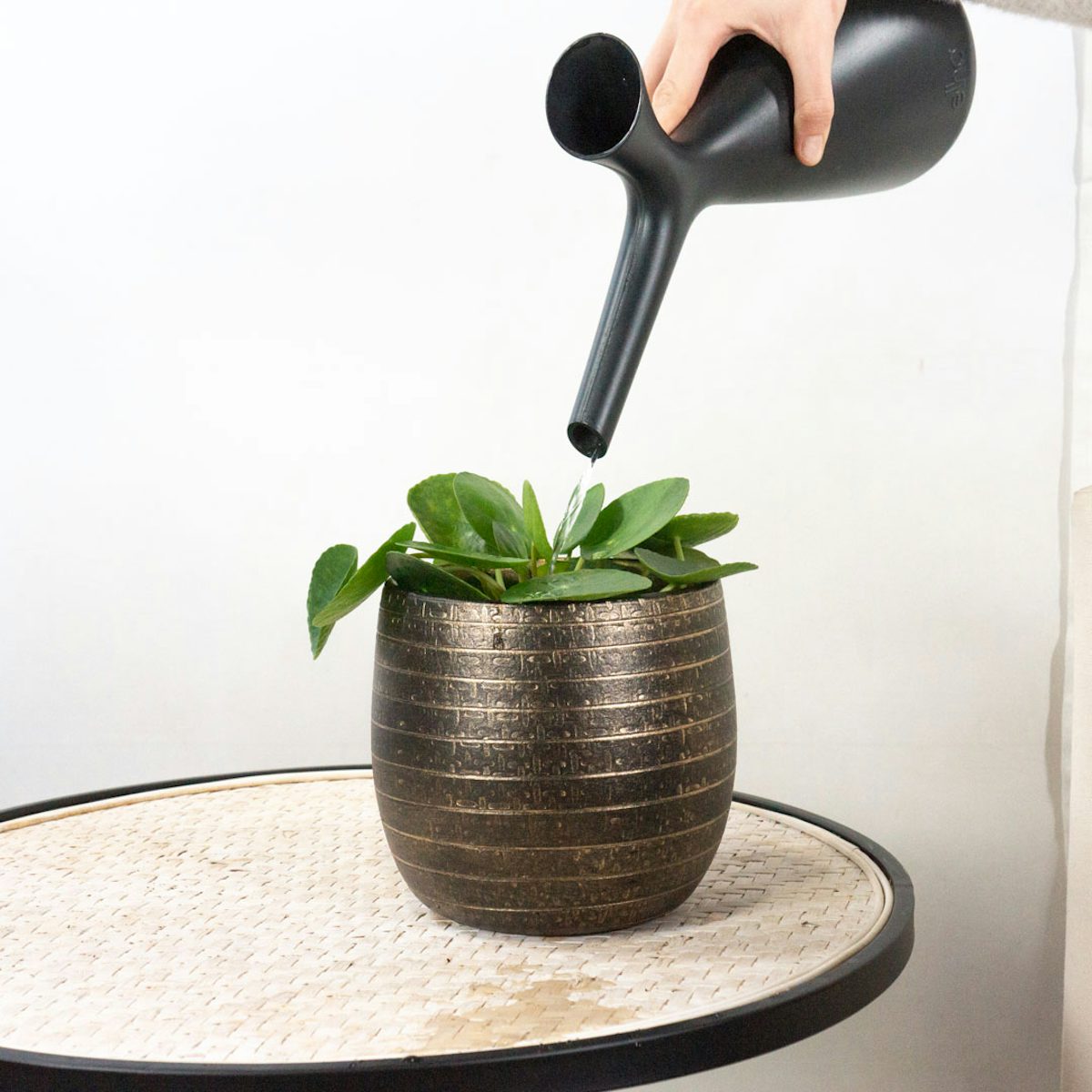 Nice watering can