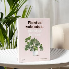 Cared-for plants, happy plants