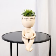 Indian Planter with Succulent