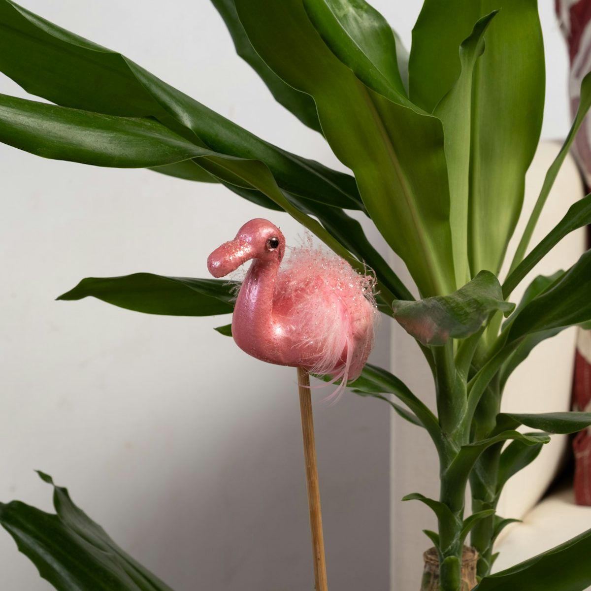 Flamingo Alegre