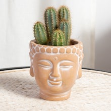 Set Vaso Budda con Cactus