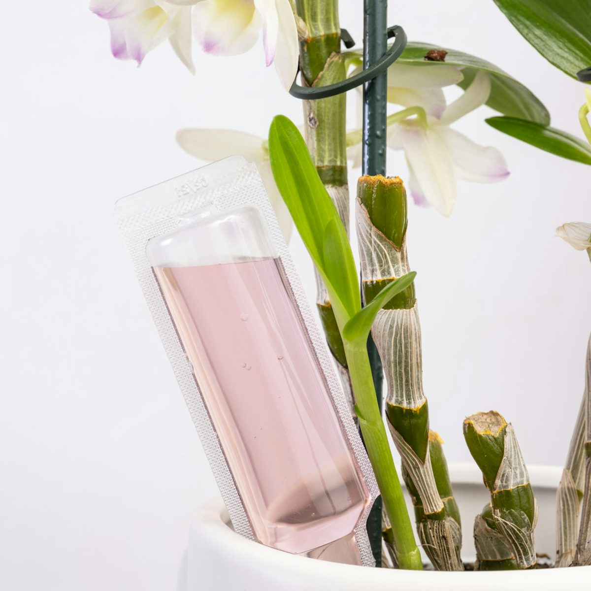 Liquid fertiliser for orchids