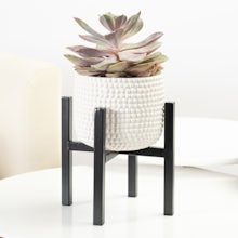 Tenerife Planter with Stand
