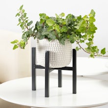 Tenerife Planter with Stand