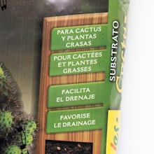Substrato per cactus e succulente