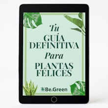 E-Book - guide to happy plants