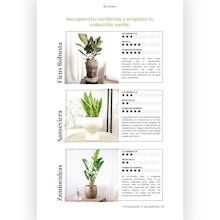 E-Book - Leitfaden für glückliche Pflanzen