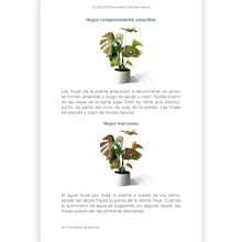 E-Book - guía para plantas felices