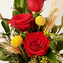3 Rote Rosen für Sant Jordi