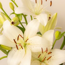 Blumenstrauß aus weißen asiatischen Lilien