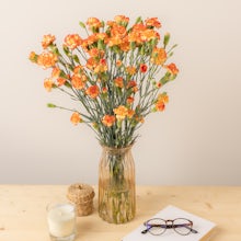 Orange carnations