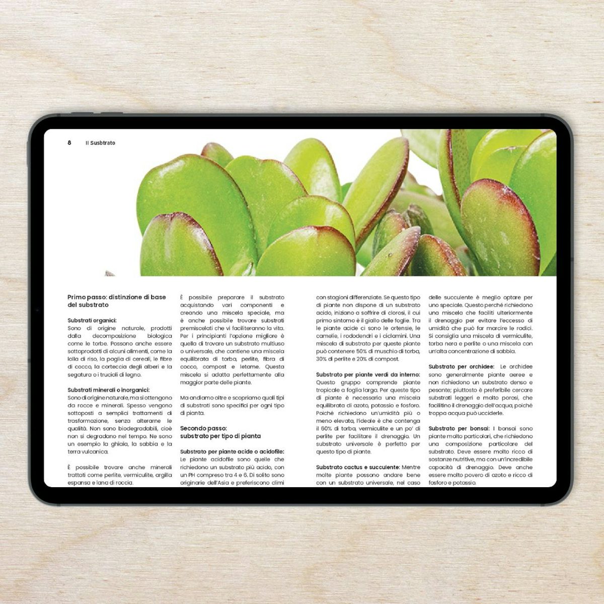 E-book - From plant killer to expert