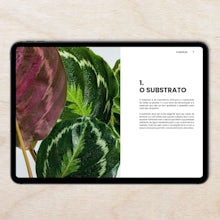 E-book - De mataplantas a experto (Português)
