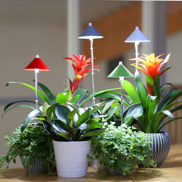 Acquistare Lampada per piante da interno: stimolo alla crescita Be