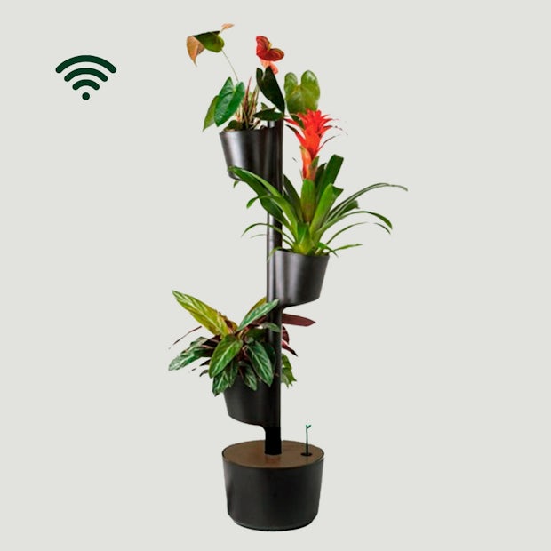 Acheter Jardinière verticale avec système d'arrosage automatique wifi